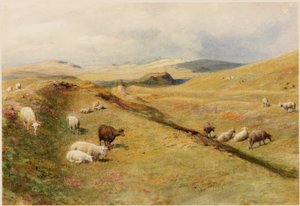Castello Nick da Henry Burdon Richardson